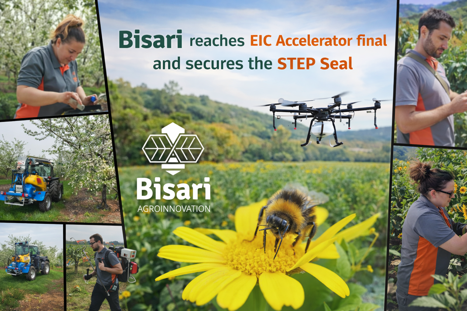 Promotional collage for Bisari Agroinnovation showing team members in orchards, agricultural drones, a bee on a yellow flower, and the Bisari logo, celebrating its EIC Accelerator final selection and STEP Seal.